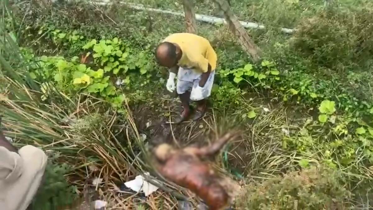 रायपुर में 12 घंटे के भीतर 3 युवकों के शव मिलने से सनसनी, हत्या की आशंका