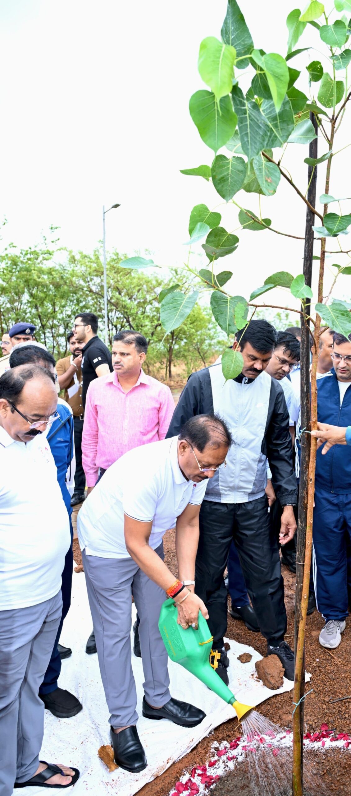 चिंतन शिविर 3.0 में CM विष्णु देव साय ने ‘एक पेड़ माँ के नाम’ अभियान के तहत किया पौधारोपण