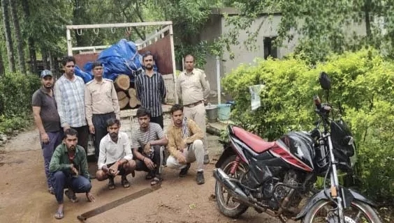 बिलासपुर में सागौन तस्करी पर वन विभाग का बड़ा एक्शन, 11 लट्ठे जब्त, 4 आरोपी गिरफ्तार