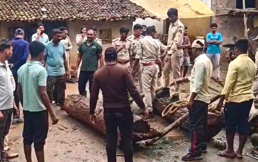 USTR की बड़ी कार्रवाई: छत्तीसगढ़-ओडिशा सीमा पर अंतर्राज्यीय सागौन तस्करी का भंडाफोड़, 2 साल पहले जब्त लकड़ी मिलने से मचा हड़कंप