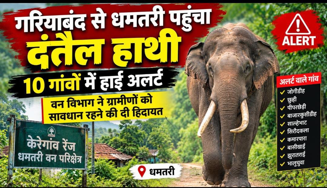 धमतरी में दंतैल हाथी की दस्तक, 10 गांवों में हाई अलर्ट