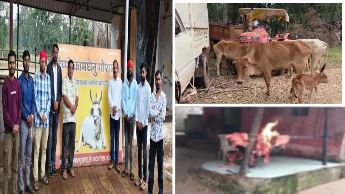 कोटपाड़ में बड़ी कार्रवाई: 27 गायों को बचाया गया, गौमांस तस्करी के संभावित नेटवर्क की जांच की उठी मांग