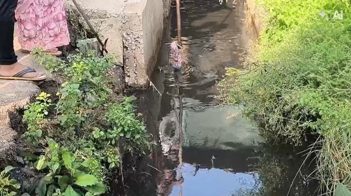 आयुष्मान अस्पताल के सामने भ्रूण मिलने से मचा हड़कंप, गर्भपात के बाद फेंके जाने की आशंका, पुलिस जांच में जुटी